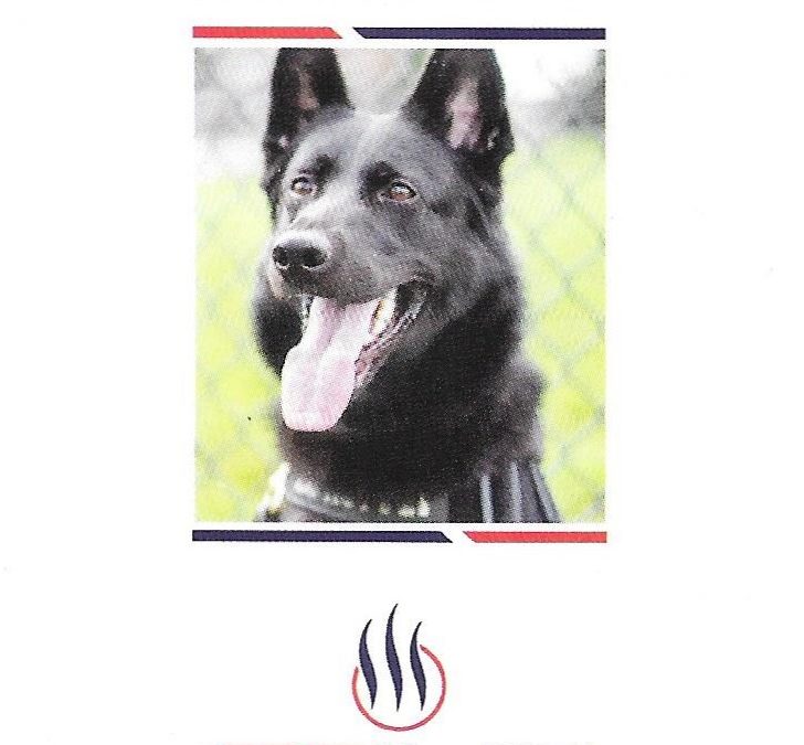 Xala